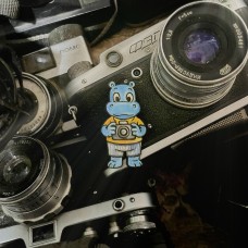 Деревянный значок из серии «Хеппи Хиппо» ручной росписи (фотограф)